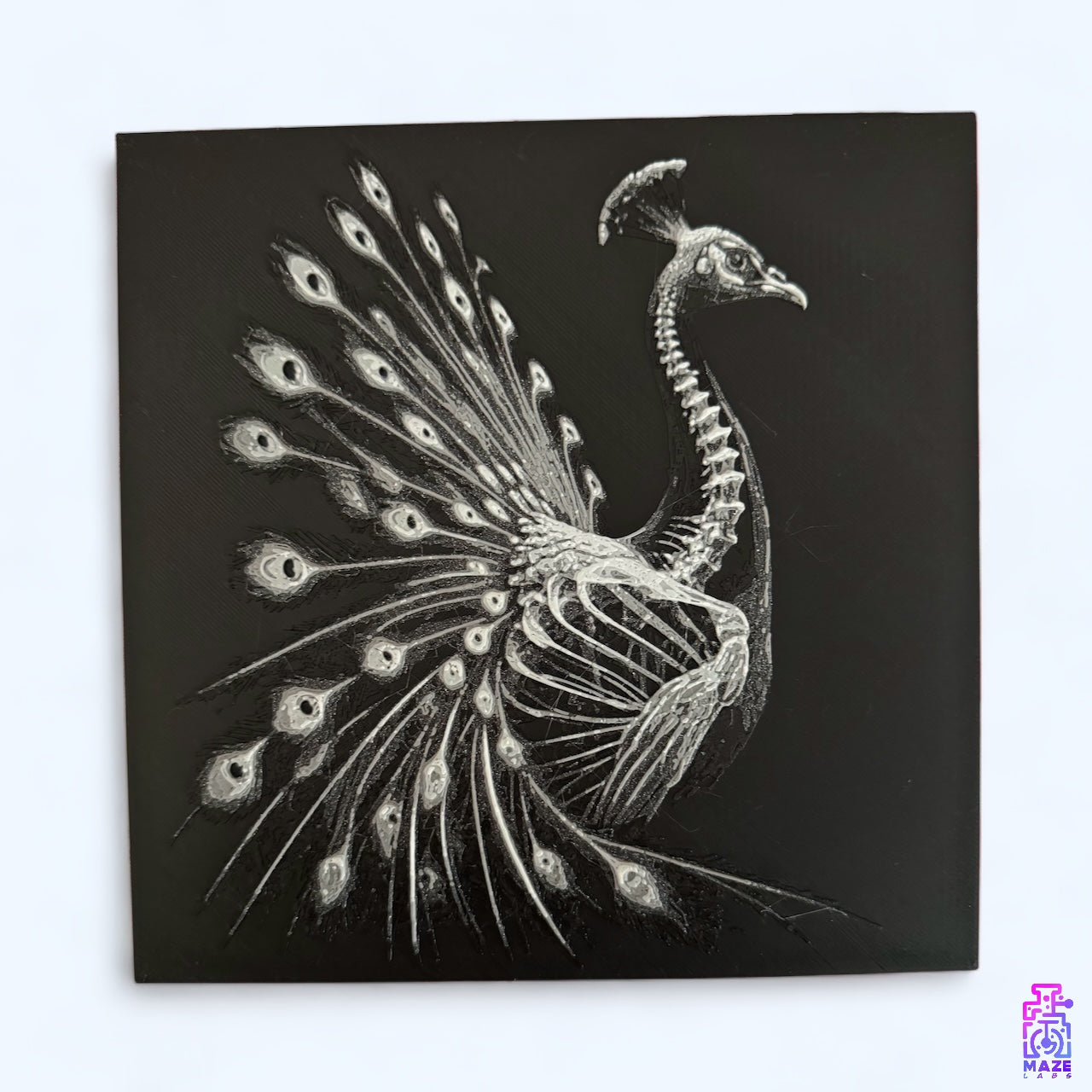 PEACOCK | 3D painting