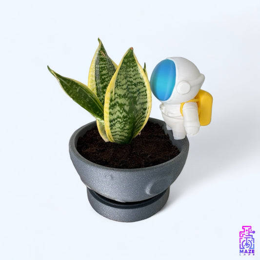 Astro Planter