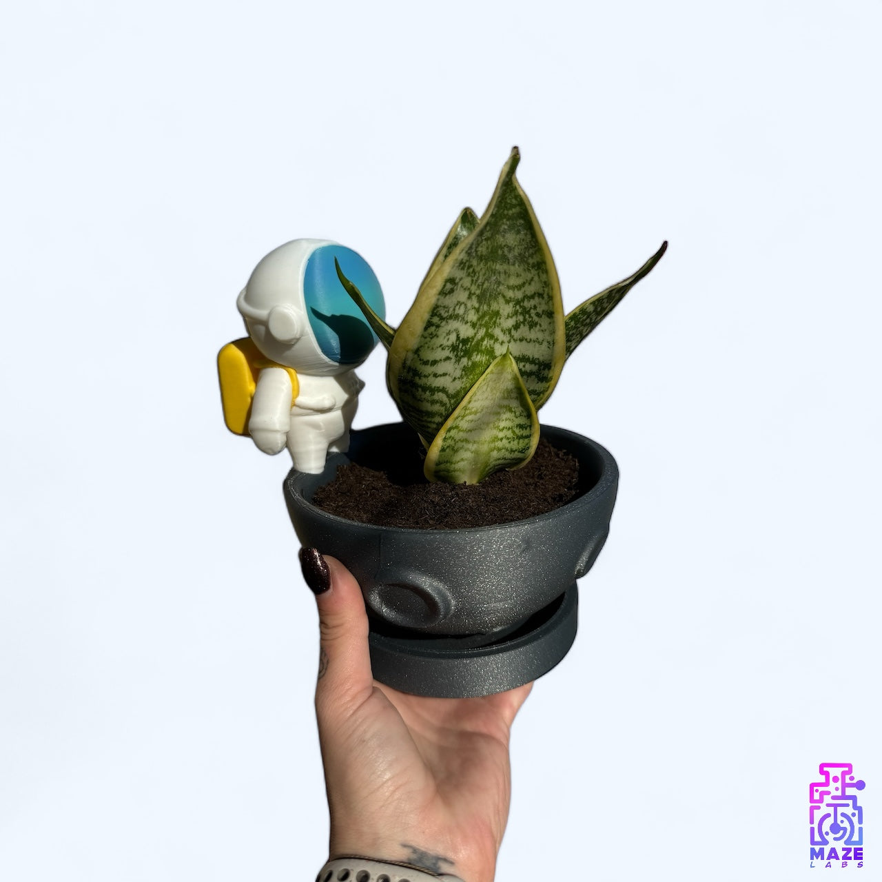 Astro Planter