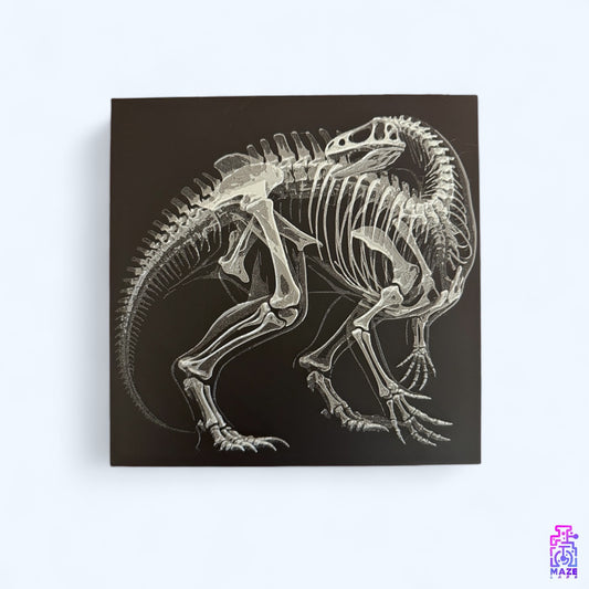 Dino X-Ray