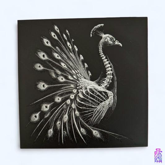 Peacock X-Ray